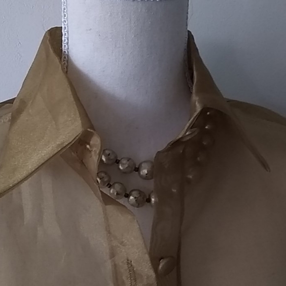 Sheer button down blouse with matching sca… - Picture 3 of 8